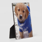 Golden Retriever Puppy Fotoplatte (Seite)