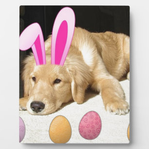 Golden Retriever Puppy Fotoplatte
