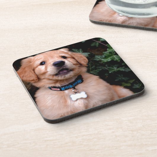 Golden Retriever Puppy Getränkeuntersetzer (Linke Seite)