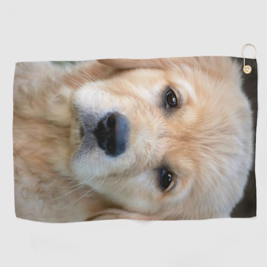 Golden Retriever Puppy Golfhandtuch (Horizontal)