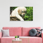 Golden Retriever Puppy in Basket Leinwanddruck (Insitu (Wohnzimmer))