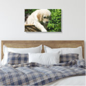 Golden Retriever Puppy in Basket Leinwanddruck (Insitu (Schlafzimmer))