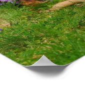 Golden Retriever Puppy in bed of Lavender Phlox Poster (Ecke)