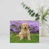 Golden Retriever Puppy in bed of Lavender Phlox Postkarte (Stehend Vorderseite)