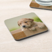 Golden Retriever Puppy in Box Getränkeuntersetzer (Linke Seite)