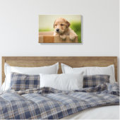 Golden Retriever Puppy in Box Leinwanddruck (Insitu (Schlafzimmer))