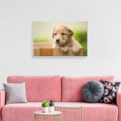 Golden Retriever Puppy in Box Leinwanddruck (Insitu (Wohnzimmer))