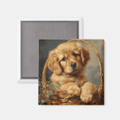 Golden Retriever Puppy in einem Korb Magnet (Vorderseite/Rückseite)