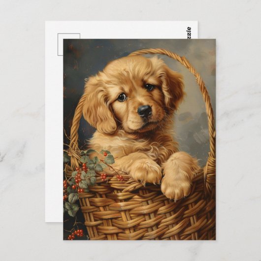 Golden Retriever Puppy in einem Korb Postkarte (Vorne/Hinten)