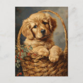 Golden Retriever Puppy in einem Korb Postkarte (Vorderseite)