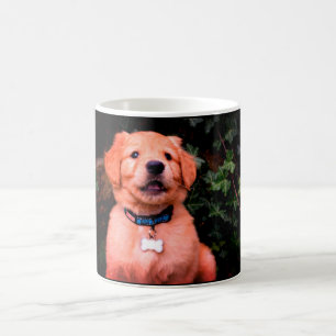 Golden Retriever Puppy Kaffeetasse
