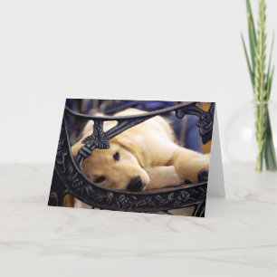 Golden Retriever Puppy Karte