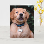 Golden Retriever Puppy Karte (Gelbe Blume)