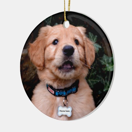 Golden Retriever Puppy Keramik Ornament (Links)