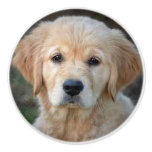 Golden Retriever Puppy Keramikknauf