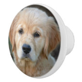 Golden Retriever Puppy Keramikknauf (Rechts)