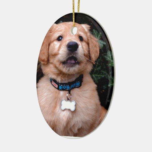 Golden Retriever Puppy Keramikornament (Links)