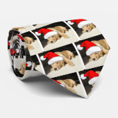 Golden Retriever Puppy Krawatte (Gerollt)