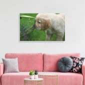 Golden Retriever Puppy Leinwanddruck (Insitu (Wohnzimmer))