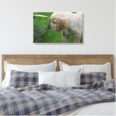 Golden Retriever Puppy Leinwanddruck (Insitu (Schlafzimmer))