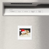 Golden Retriever Puppy Magnet (In Situ (Geschirrspüler))