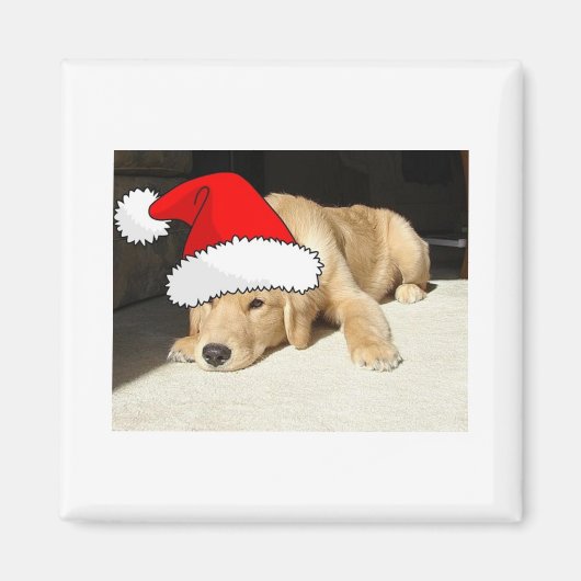 Golden Retriever Puppy Magnet (Vorne)