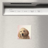 Golden Retriever Puppy Magnet (In Situ (Geschirrspüler))