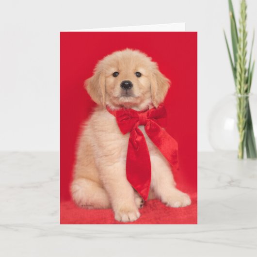 Golden Retriever Puppy Merry Woofin Weihnachten Karte (Vorderseite)