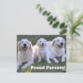 Golden Retriever Puppy mit stolzen Eltern Postkarte (Stehend Vorderseite)