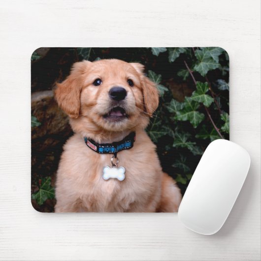 Golden Retriever Puppy Mousepad (Mit Mouse)