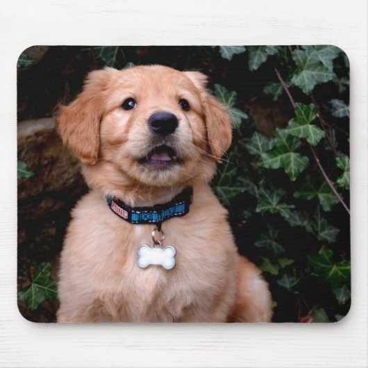 Golden Retriever Puppy Mousepad (Vorne)