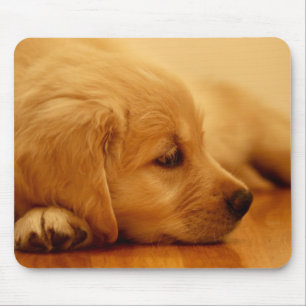 Golden Retriever Puppy Mousepad