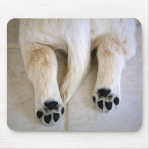 Golden Retriever Puppy Mousepad