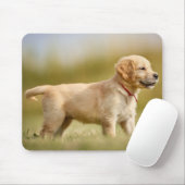 Golden Retriever Puppy Mousepad (Mit Mouse)