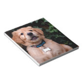 Golden Retriever Puppy Notizblock (angewinkelt)