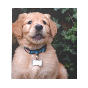 Golden Retriever Puppy Notizblock