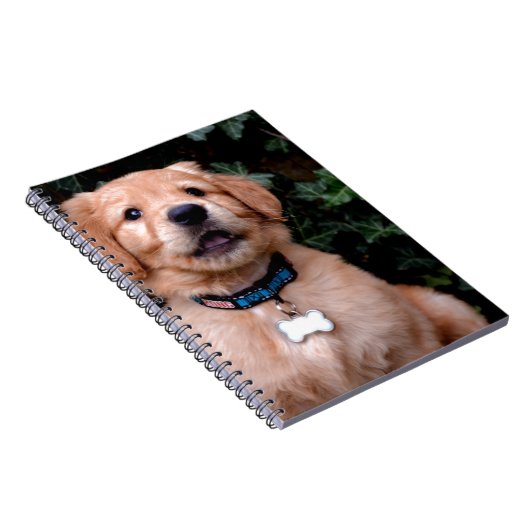 Golden Retriever Puppy Notizblock (Rechte Seite)