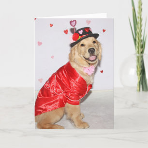 Golden Retriever Puppy Pawsome Valentine’s Day Feiertagskarte