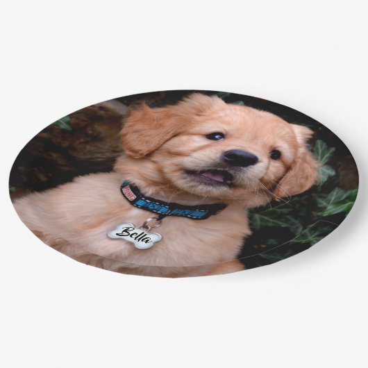Golden Retriever Puppy personalisiert Namensschild Pappteller (Schrägansicht)