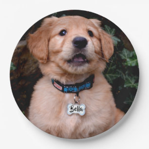 Golden Retriever Puppy personalisiert Namensschild Pappteller