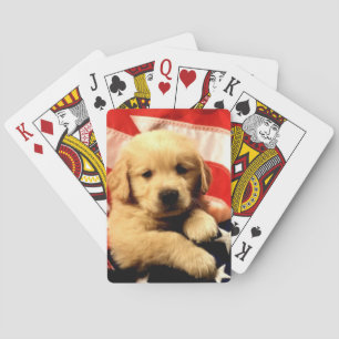 Golden Retriever Puppy Playing Cards Spielkarten