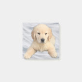 Golden Retriever Puppy Post - Anmerkungen Post-it Klebezettel (Vorderseite)
