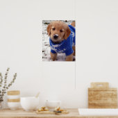 Golden Retriever Puppy Poster (Küche)
