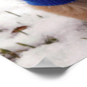 Golden Retriever Puppy Poster (Ecke)