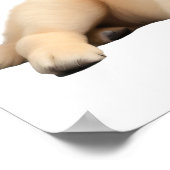Golden Retriever Puppy Poster (Ecke)