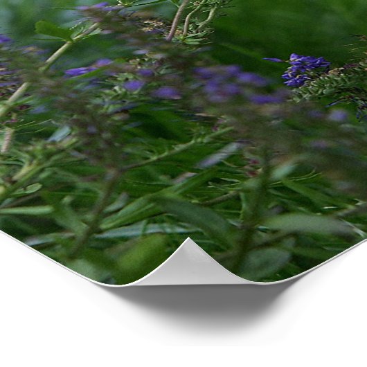 Golden Retriever Puppy Poster (Ecke)