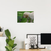 Golden Retriever Puppy Poster (Heimbüro)