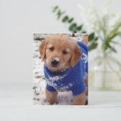 Golden Retriever Puppy Postkarte (Stehend Vorderseite)