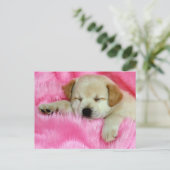 Golden Retriever Puppy Postkarte (Stehend Vorderseite)