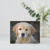 Golden Retriever Puppy Postkarte (Stehend Vorderseite)